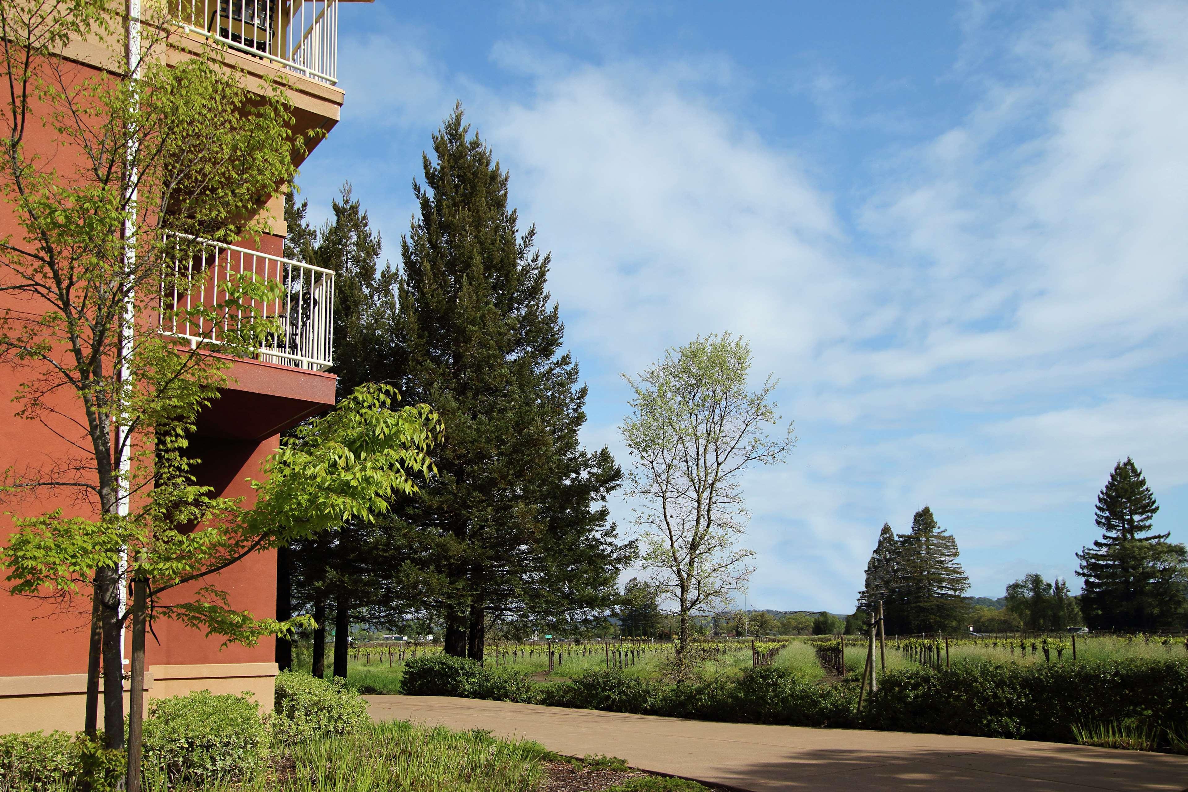 Hilton Garden Inn Sonoma County Airport Santa Rosa Exterior foto